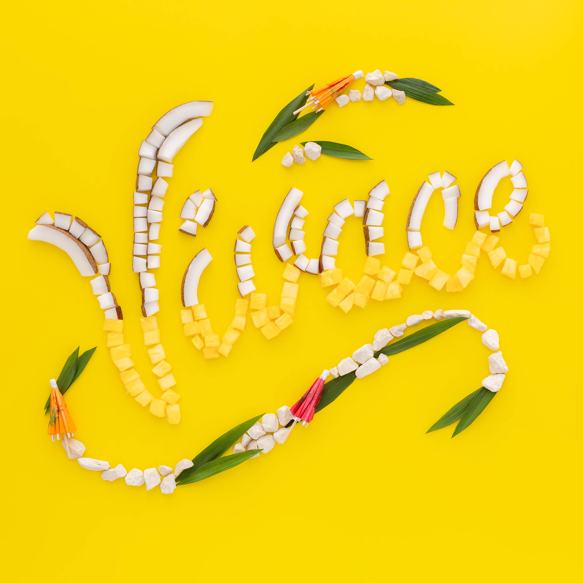 Portfolio_bravorauch_vivace-3